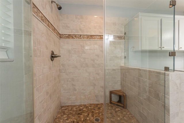 bathroom with a stall shower