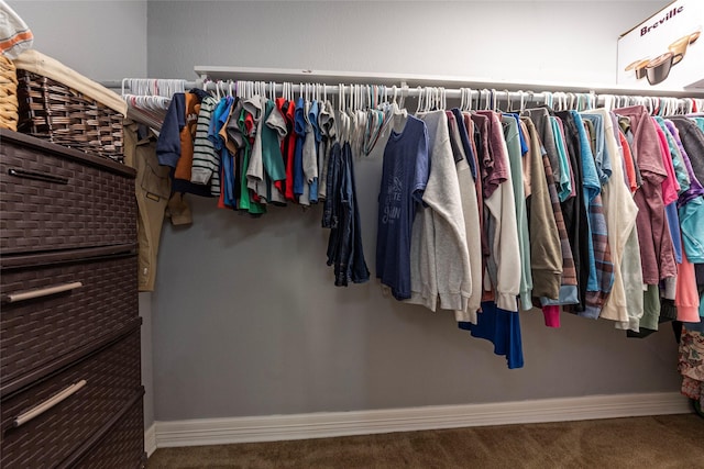 spacious closet with carpet flooring