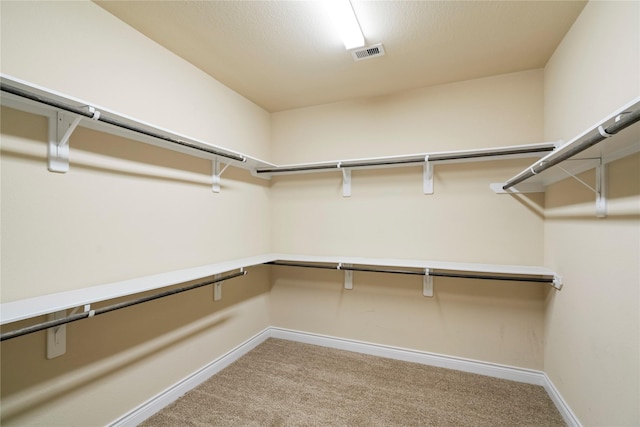 12530 Sharps Ln, Magnolia, TX 77354 - spacious closet featuring light carpet