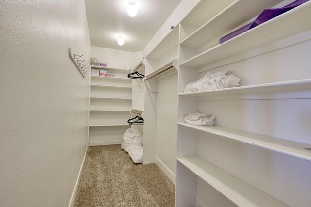 4206 Turks Pt, Galveston, TX 77554 - spacious closet with carpet flooring