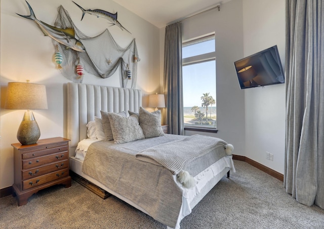 4206 Turks Pt, Galveston, TX 77554 - carpeted bedroom featuring baseboards and multiple windows