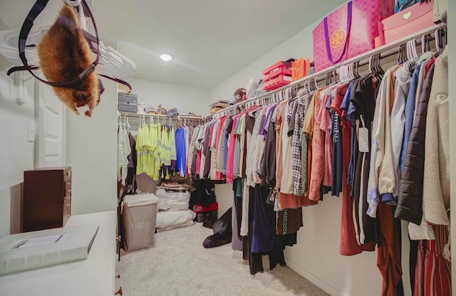 walk in closet with carpet flooring