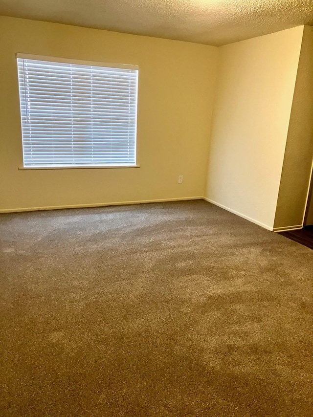 4127 Arthur St, Beaumont, TX 77706 - photo 9