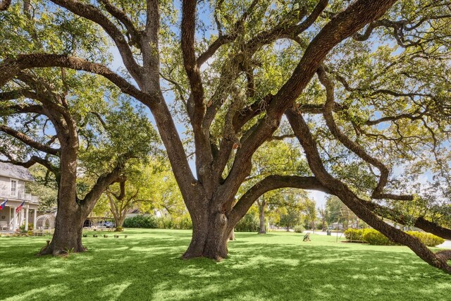 725 Columbus Rd, Sealy, TX 77474 - view of property's community featuring a yard
