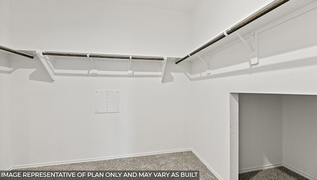 spacious closet with carpet flooring
