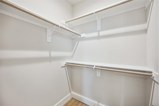 spacious closet featuring light wood-style flooring