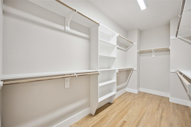walk in closet with light wood-style floors