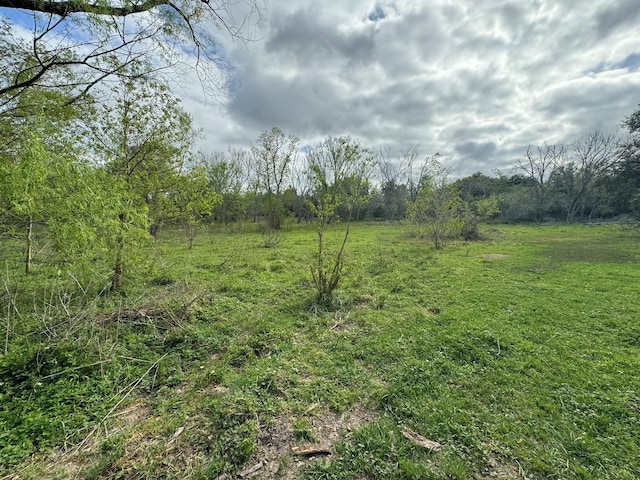 TBD County Road 394, El Campo, TX 77437 - photo 16