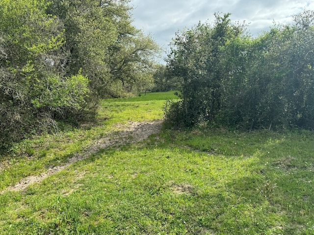 TBD County Road 394, El Campo, TX 77437 - photo 9
