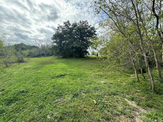 TBD County Road 394, El Campo, TX 77437 - photo 17