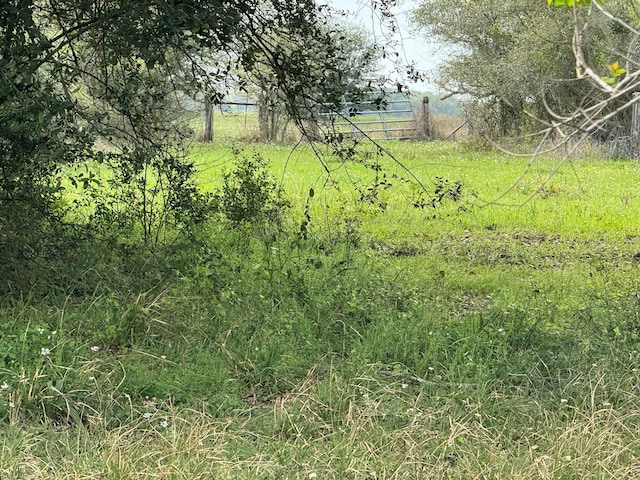 TBD County Road 394, El Campo, TX 77437 - photo 18