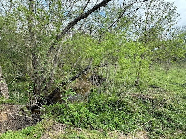 TBD County Road 394, El Campo, TX 77437 - photo 20