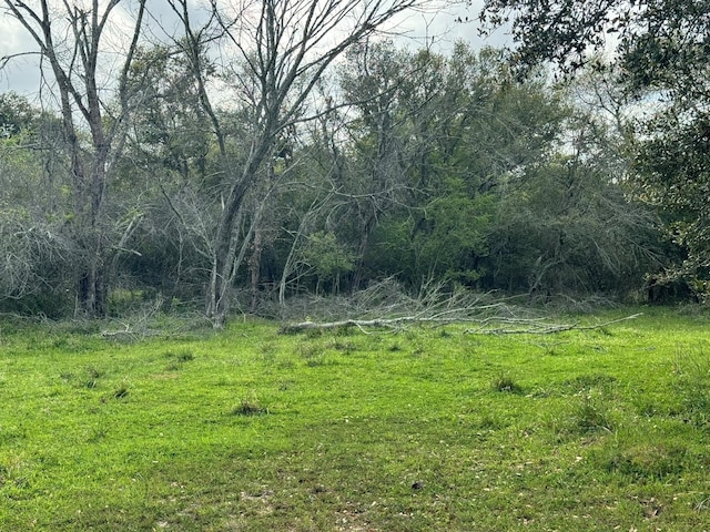 TBD County Road 394, El Campo, TX 77437 - photo 23