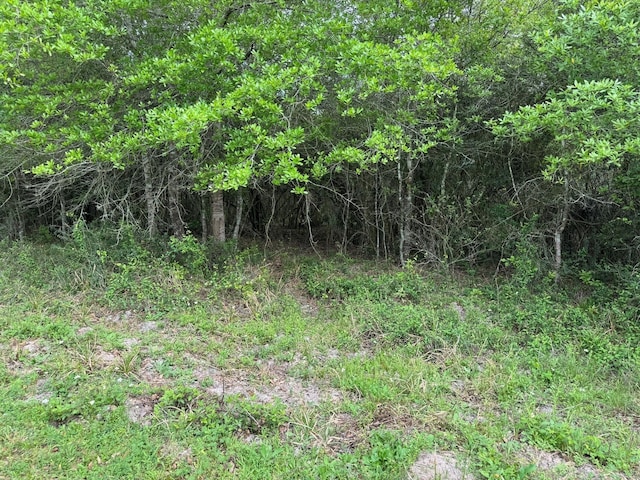 TBD County Road 394, El Campo, TX 77437 - photo 25