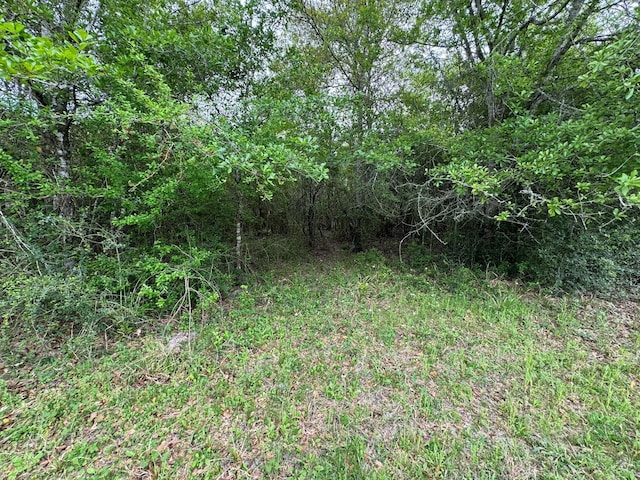 TBD County Road 394, El Campo, TX 77437 - photo 26