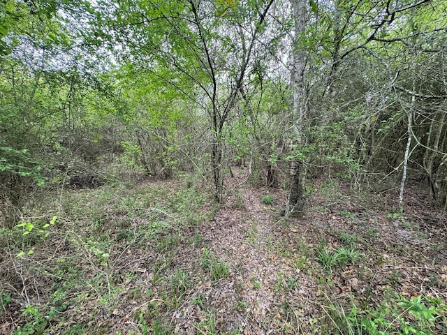 TBD County Road 394, El Campo, TX 77437 - photo 27