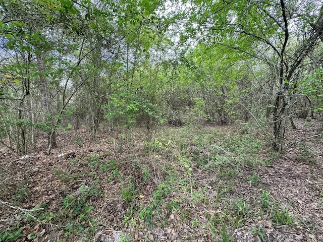 TBD County Road 394, El Campo, TX 77437 - photo 28