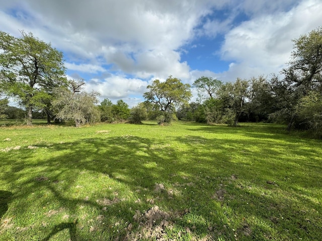 TBD County Road 394, El Campo, TX 77437 - photo 30