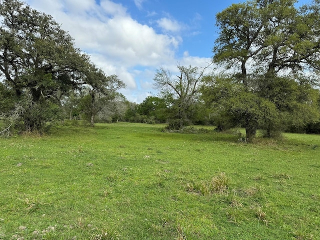 TBD County Road 394, El Campo, TX 77437 - photo 33
