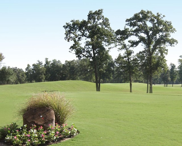 535 Oakview Bend Dr, Montgomery, TX 77316 - view of property's community featuring a yard
