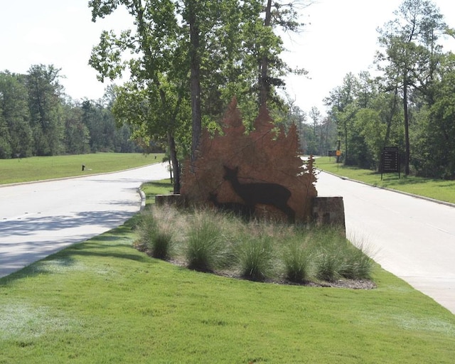 535 Oakview Bend Dr, Montgomery, TX 77316 - view of street with curbs