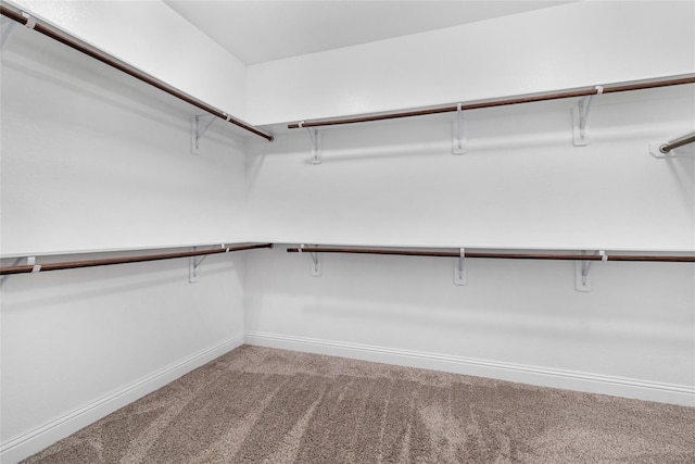 spacious closet with carpet floors