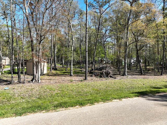 0 County Road 3892 W, Cleveland, TX 77328 - photo 17