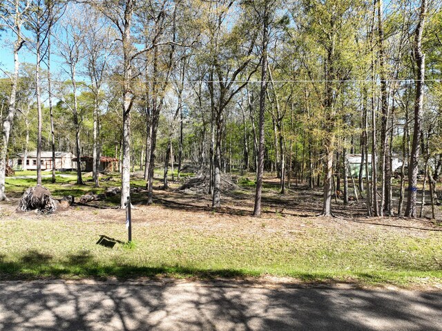 0 County Road 3892 W, Cleveland, TX 77328 - photo 1