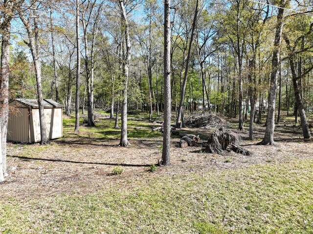 0 County Road 3892 W, Cleveland, TX 77328 - photo 3