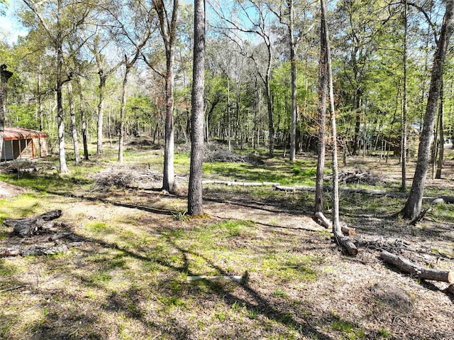 0 County Road 3892 W, Cleveland, TX 77328 - photo 4