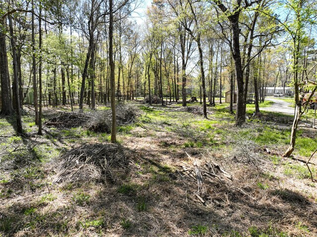 0 County Road 3892 W, Cleveland, TX 77328 - photo 5