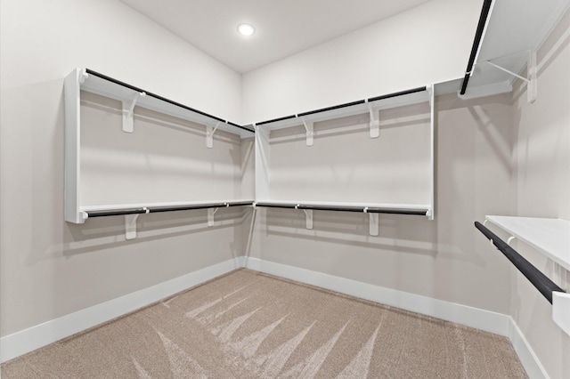 spacious closet with carpet flooring