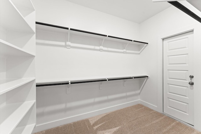 spacious closet featuring carpet flooring