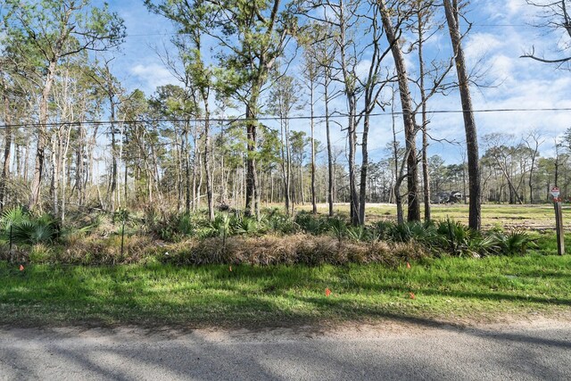 16915 Payne Rd, Conroe, TX 77302 - photo 4