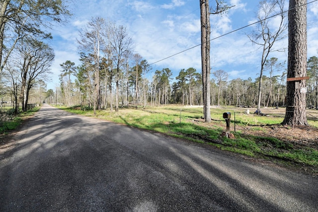 16915 Payne Rd, Conroe, TX 77302 - photo 3