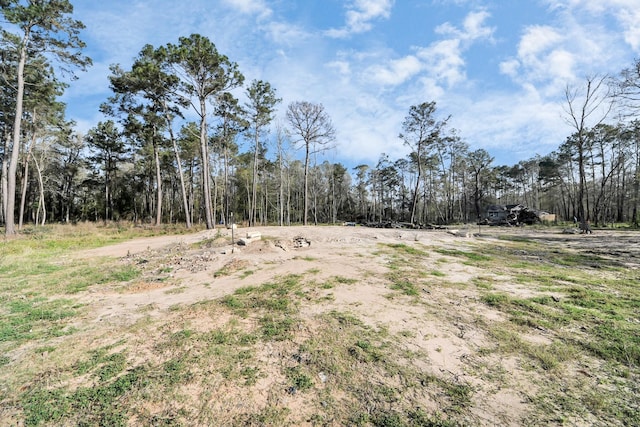 16915 Payne Rd, Conroe, TX 77302 - photo 1