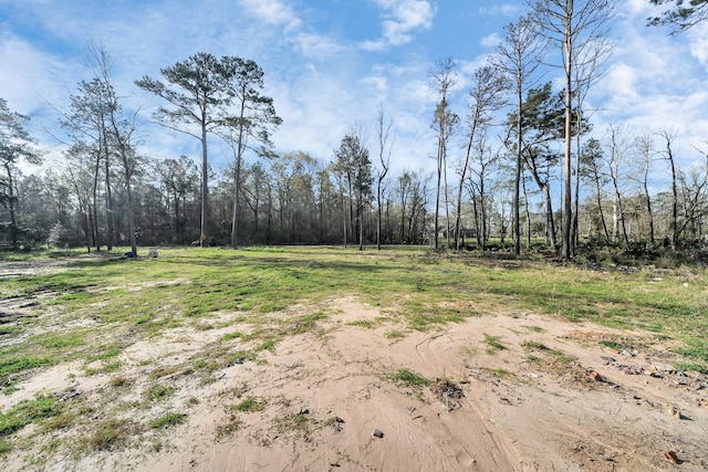 16915 Payne Rd, Conroe, TX 77302 - photo 2