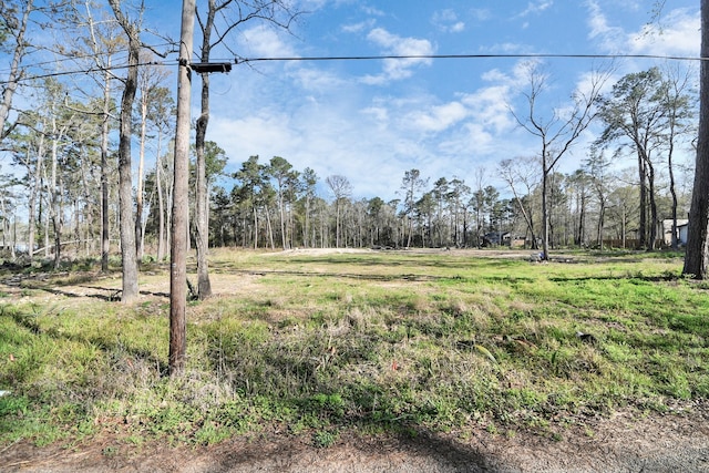 16915 Payne Rd, Conroe, TX 77302 - photo 5