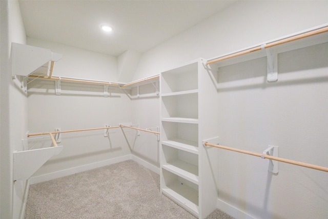 spacious closet featuring carpet floors