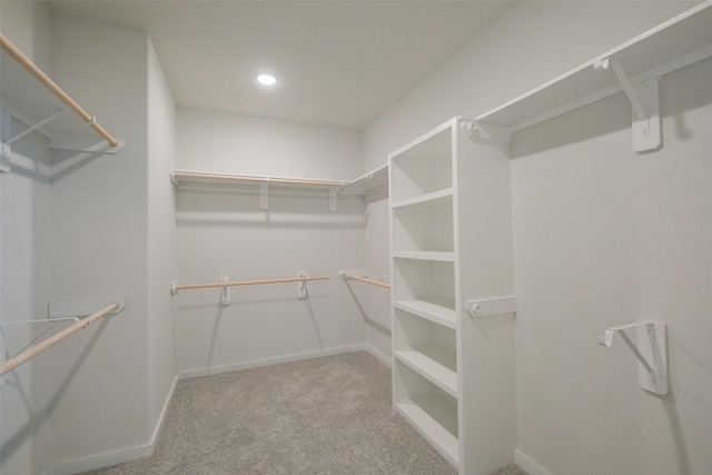 walk in closet featuring carpet