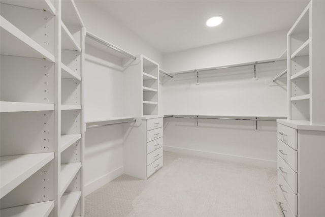 1609 Park St, Houston, TX 77019 - spacious closet featuring light carpet