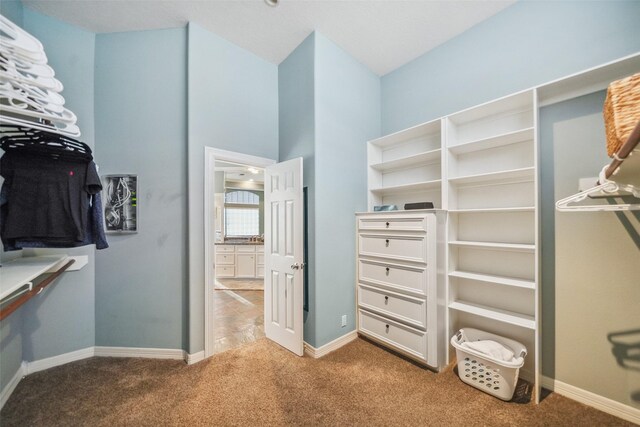 18719 Rusty Anchor Ct, Humble, TX 77346 - walk in closet with carpet floors