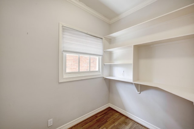 interior space featuring wood finished floors