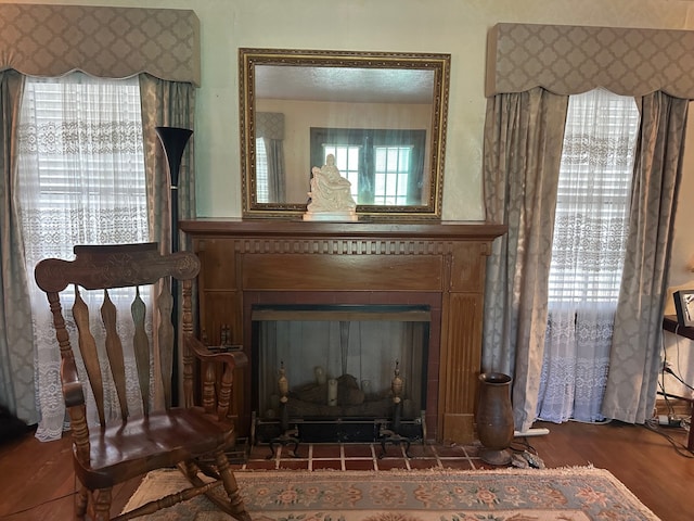 room details featuring wood finished floors and a fireplace