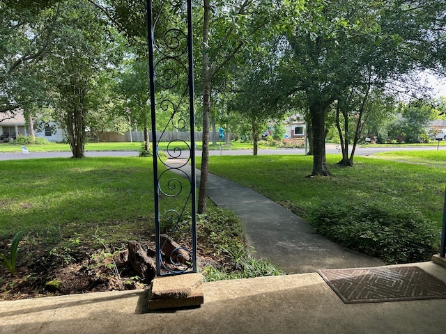 view of community featuring a yard
