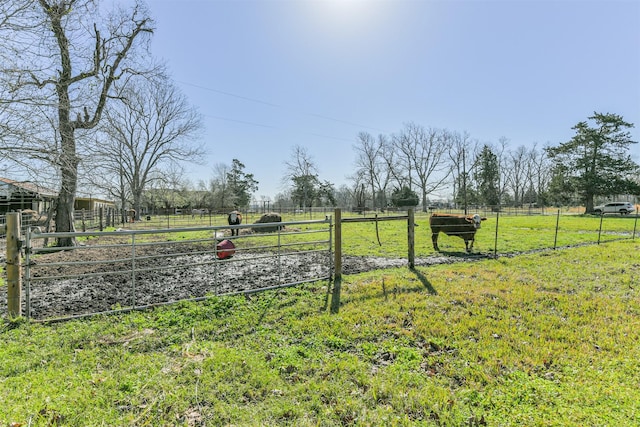 1140 County Road 2274, Cleveland, TX 77327 - photo 40
