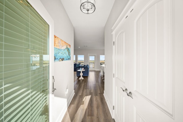 23194 Camino St, Galveston, TX 77554 - corridor with baseboards, an inviting chandelier, and dark wood-style floors