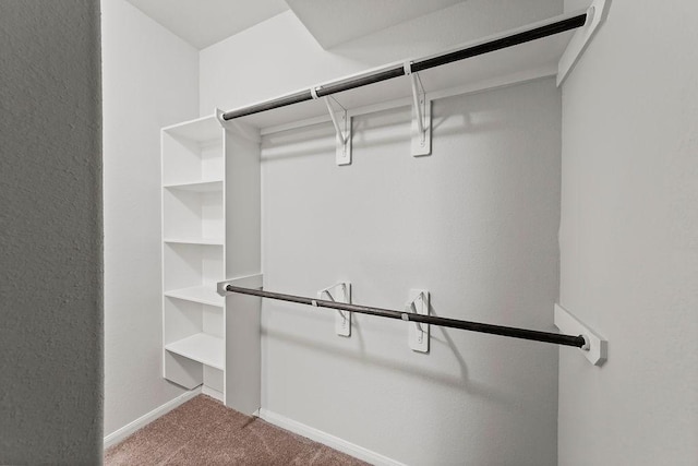 spacious closet featuring carpet floors