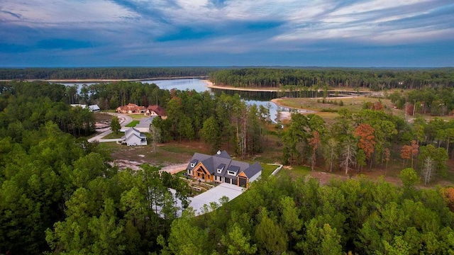 bird's eye view with a view of trees and a water view