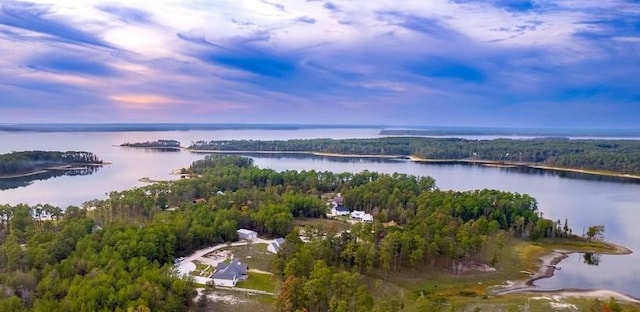 aerial view with a forest view and a water view